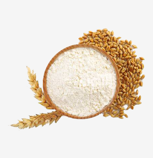 sharbati-wheat-flour-banner